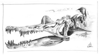 chapter 1 - strange palaeontology small